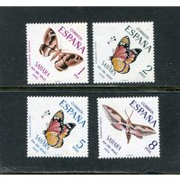 Испанская Сахара. Фауна. Бабочки