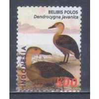 [737] Индонезия 2000. Фауна.Птицы.Утки.800р. Гашеная марка.