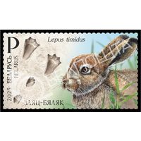 2025 БЕЛАРУСЬ Марка "Следы зверей" MNH
