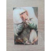 Календарик 1992