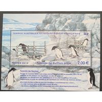 Французские территории в Антарктиде 2012. Пингвины. Блок
