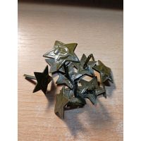 Звездочка полевая.