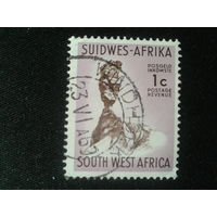 Юго-западная Африка, колония Англии, 1961. Стандарт