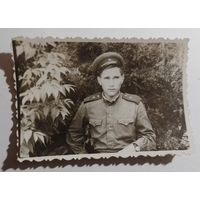 Фото в коллекцию
