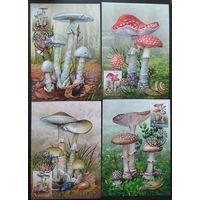 Беларусь 2022 КМ ядовитые грибы.