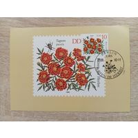 О-12. КАРТМАКСИМУМ. ГДР. ФЛОРА. 1982 ГОД.