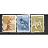 ФФ2 SWA 1980 Фауна