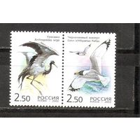 ФФ1 Россия 2002 Птицы