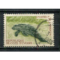 Кот-д 'Ивуар - 1964 - Фауна. Африканский ламантин F - [Mi.272] - 1 марка. Гашеная.  (Лот 24HB)-T4P48