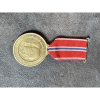 Редкая медаль Норвегия нагрудный знак много Лотов с