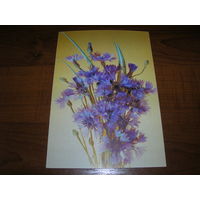 Цветы Васильки 1992 год чистая