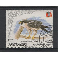 Фауна Птицы Йемен 1969 Сокол Used