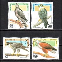 Хищные птицы Сахарская Арабская Демократическая Республика 1995 год серия из 4-х марок