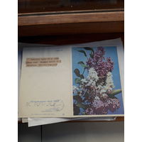 Телеграмма СССР серия Г-33 ППФГ 1968