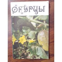 Переднев В.П-Огурцы