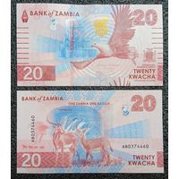 20 квача Замбия 2024 г. UNC
