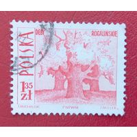 Польша, 1966 г., стандартный выпуск, туризм