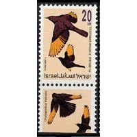 1992 Израиль 1249 Певчие птицы фауна **