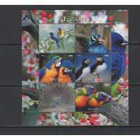 Малави 2012  Птицы