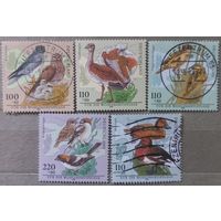 Германия. 1998г. Фауна. Утки.