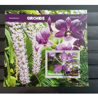 ЛИСТ ФЛОРА ЦВЕТЫ ГРИБЫ  СТО