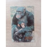 Календарик 1992