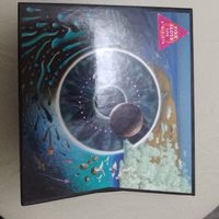 Pink Floyd P.U.L.S.E.