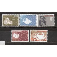 ФФ2 Нидерланды 1967 Фауна моря