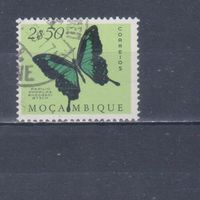 [1126] Португальский Мозамбик 1953. Фауна.Бабочка.2,50 э. Гашеная марка.