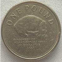 Гибралтар 1 фунт 2009 г.