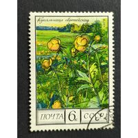 1975 СССР. Цветы Кавказа. Купальница европейская