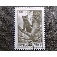 Марка СССР 1984 год Стандартный выпуск