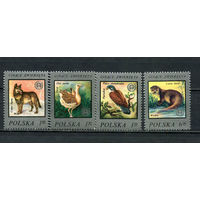 Польша - 1977 - Фауна - [Mi. 2504-2507] - полная серия - 4 марки. MNH.  (Лот 86HG)-T41P34
