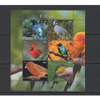 Малави 2012  Птицы