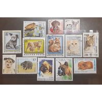 Сборный лот. Фауна (872)