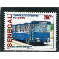 Сенегал. Автобусы