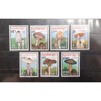 Камбоджа. 1989 год. Флора. Грибы (959)