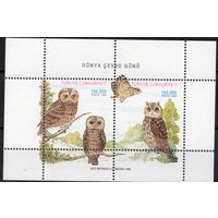 Турция 1998. Фауна птицы Совы блок (3150)