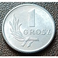 Польша 1 грош, 1949    ( 2-1-8 )