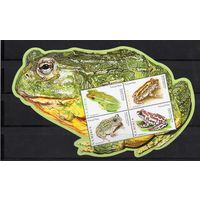 Намибия 2011. Фауна. Лягушки блок (1366)