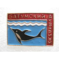 Батумский аквариум, дельфин.